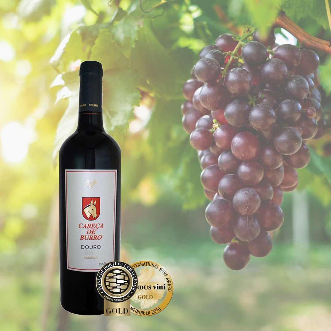 Cabeça de Burro Reserva DOC Douro Tinto 750ml