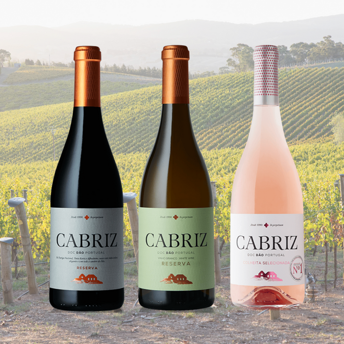 Weinprobe Cabriz Dão