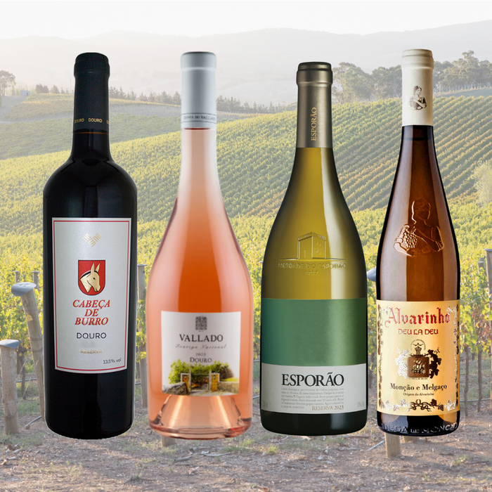 Weinprobe Exklusiv
