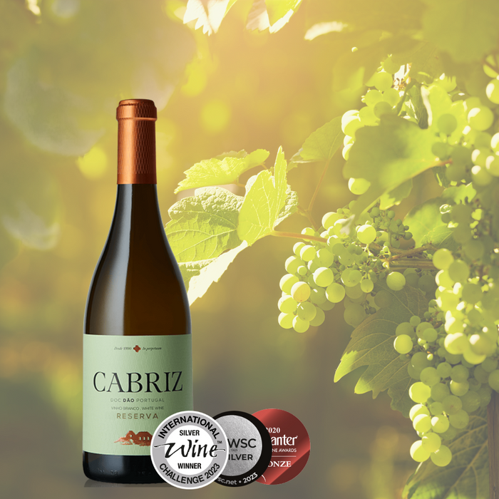 Cabriz Reserva DOC Dão Branco 750ml