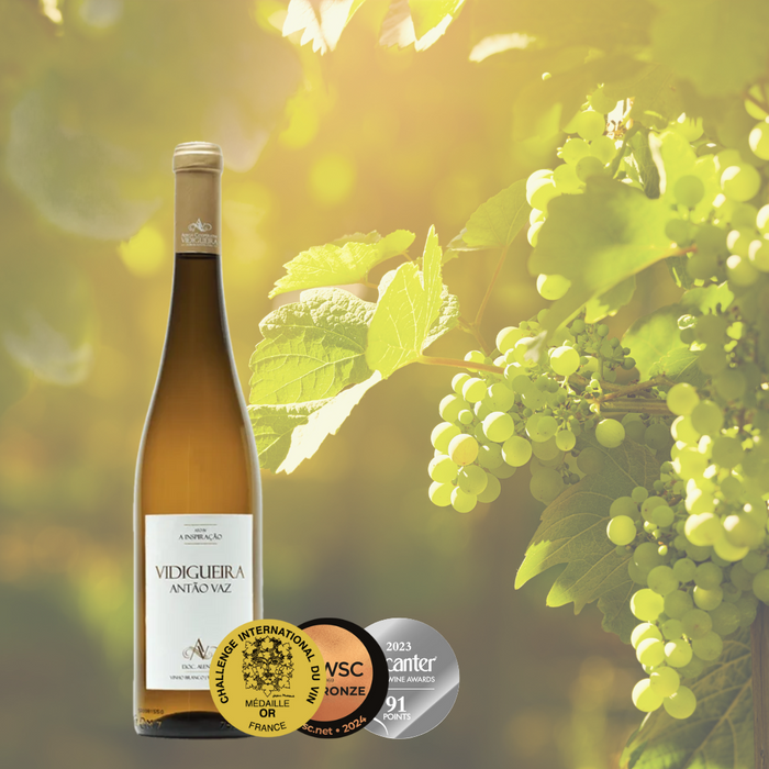 Vidigueira Antão Vaz DOC Alentejo Branco 750ml