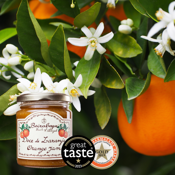 Beira Baga - Orangen-Fruchtmarmelade 270g