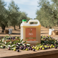 Quinta S. Braz Organic 5L - Olivenhain