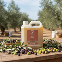 Vale dos Montes BIO 5L - Olivenhain November-Ernte